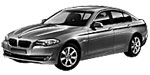BMW F10 P1E4F Fault Code